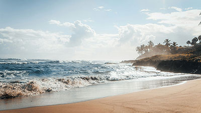 Newsletter background image
